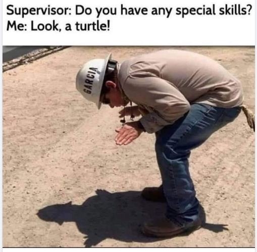 1000015214.jpg
