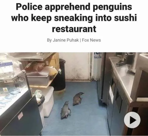 1000015215.png