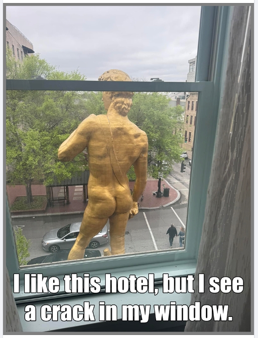 1000015281.jpg