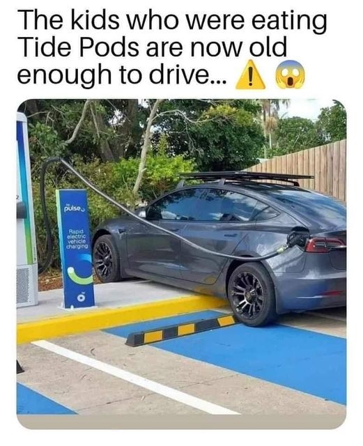 1000015326.jpg