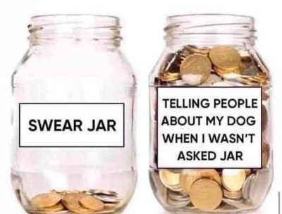 1000015358.jpg