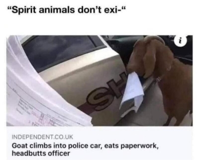 1000015366.jpg