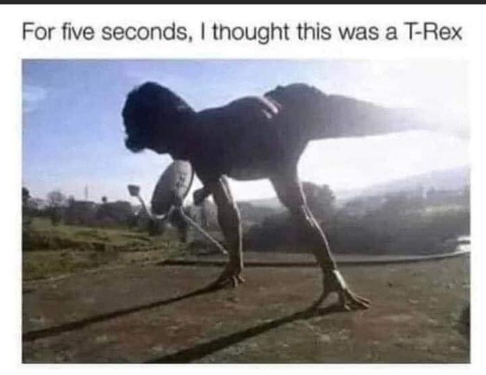1000016365.jpg