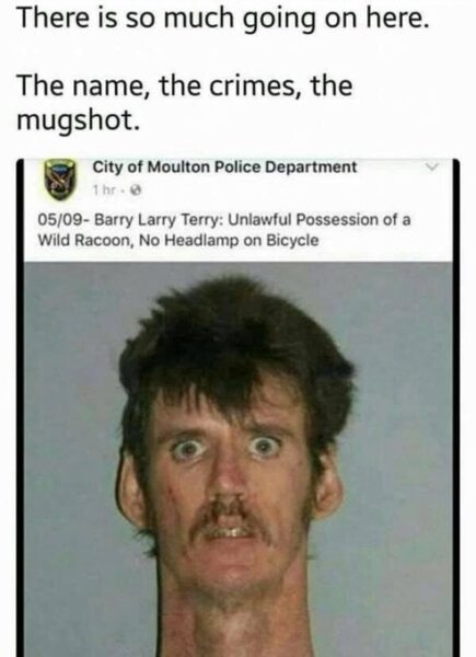 1000016427.jpg