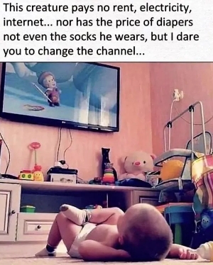 1000016522.jpg