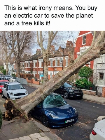 1000017010.jpg