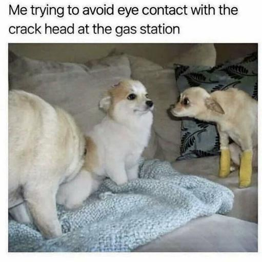 1000017282.png