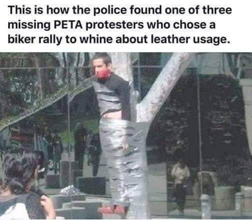 1000018629.png
