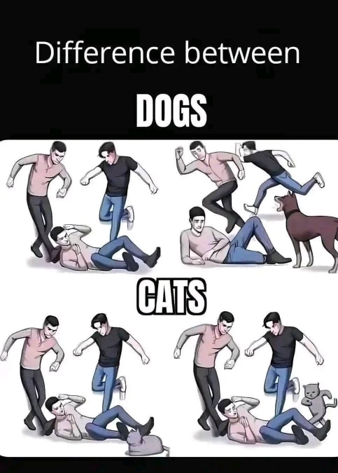 1000023908.jpg