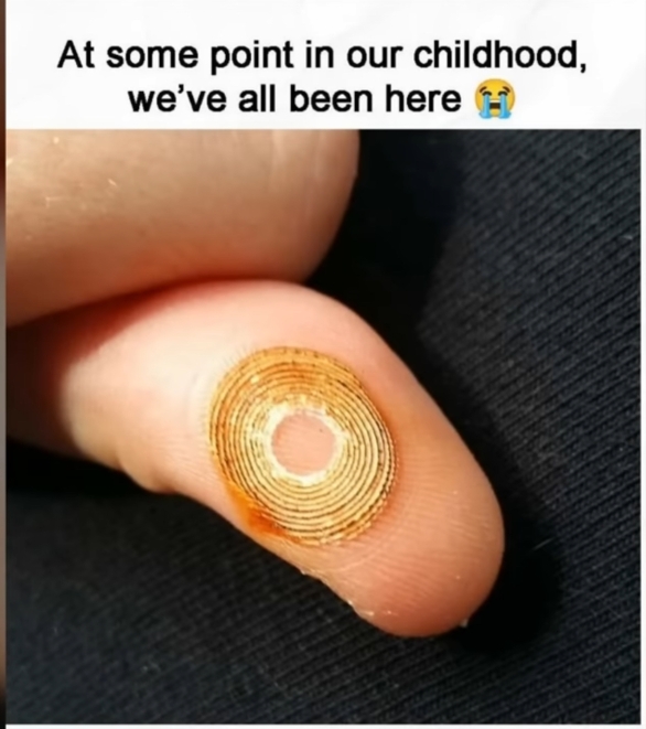1000025455.jpg