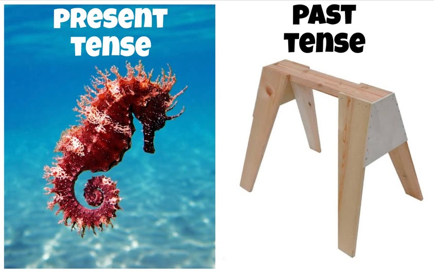 1000025743.png