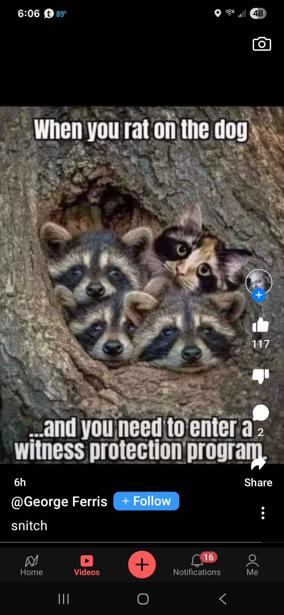 1000026373.jpg