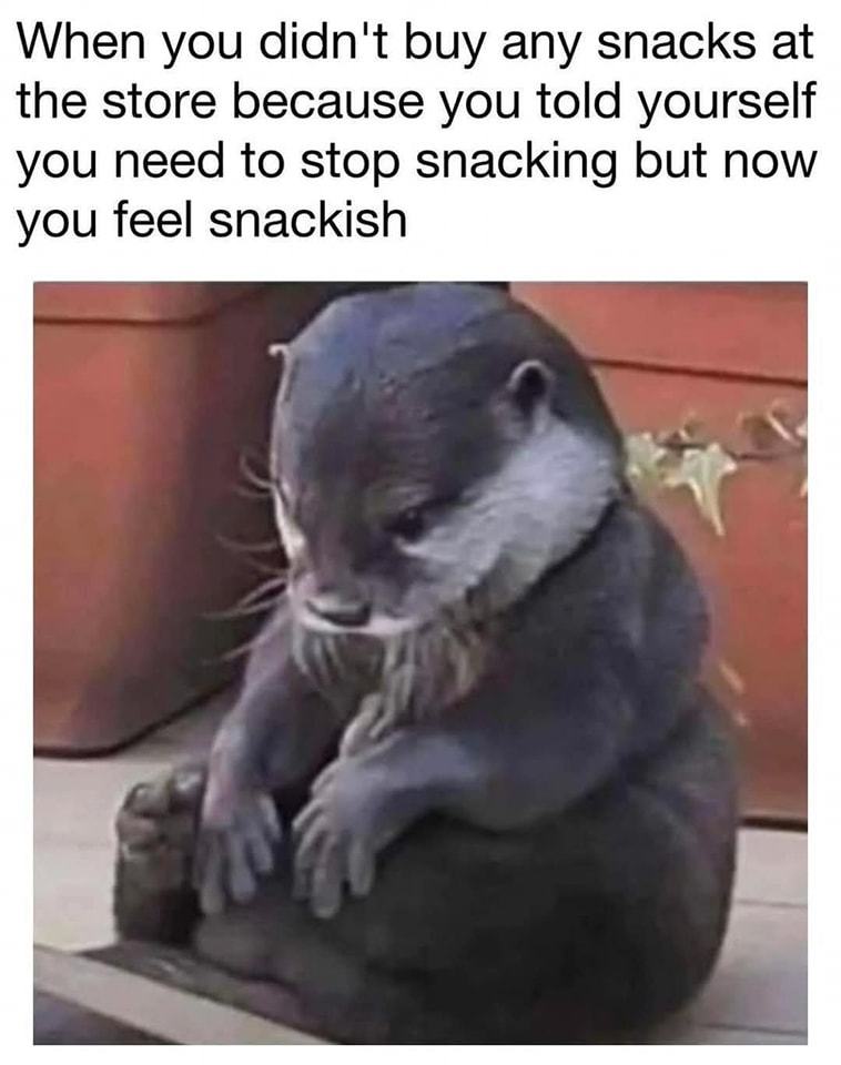 1000026536.png