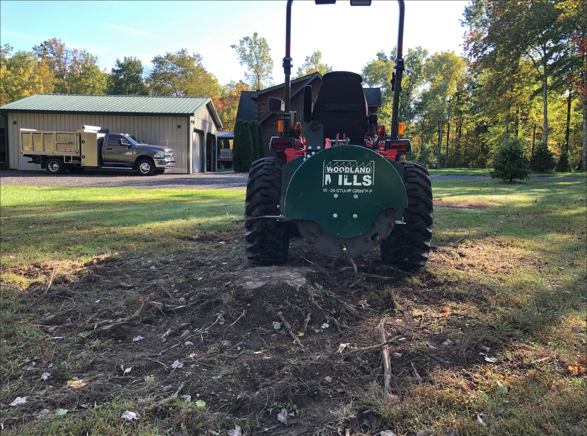 101622stump1.JPG