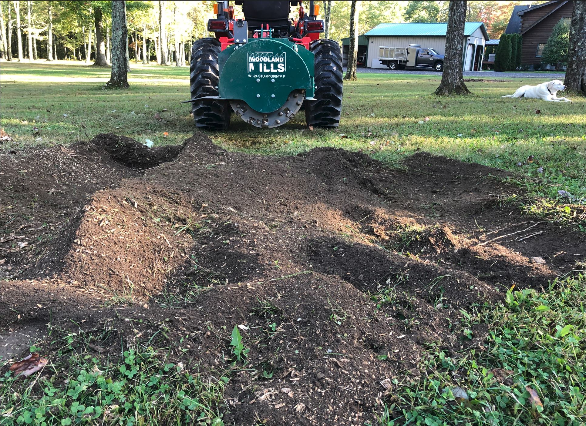 101622stump3done.JPG