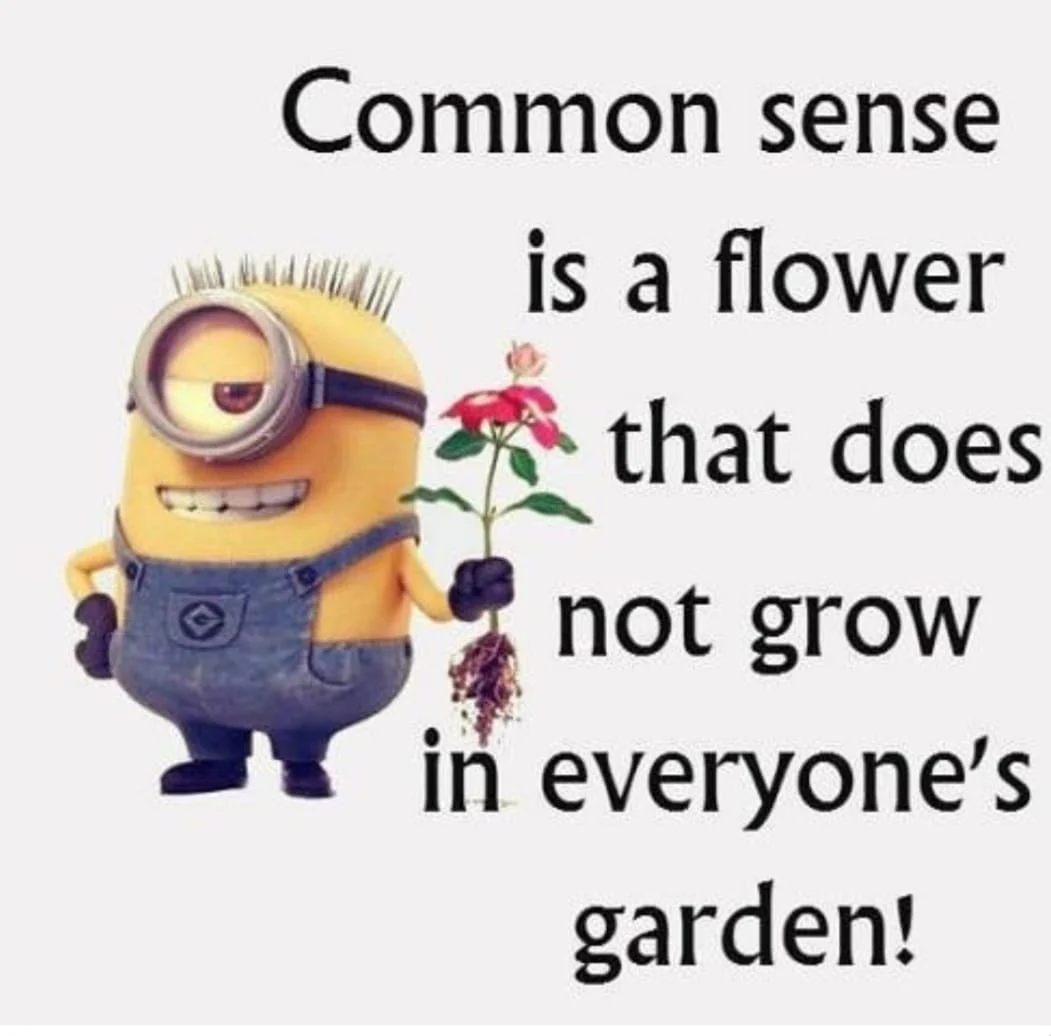 1619551715385.png