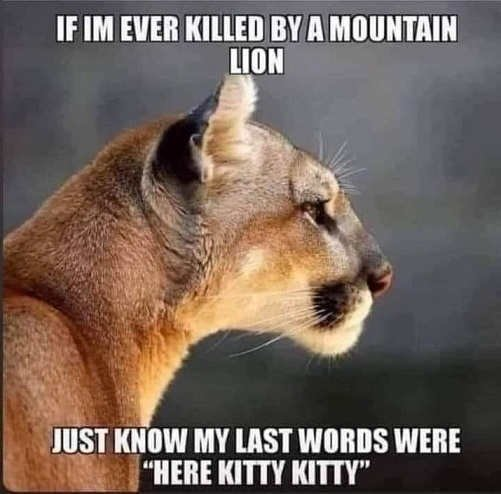 1632488204218.png