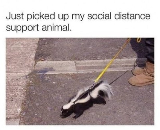 1633517990642.png