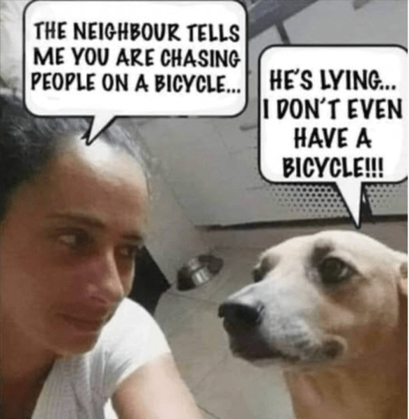 1636383594847.png