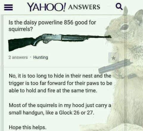 1637789087546.png