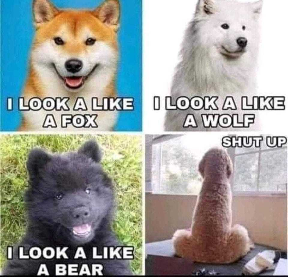 1639145387388.png