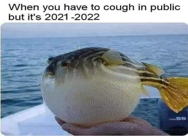 1639316136612.png