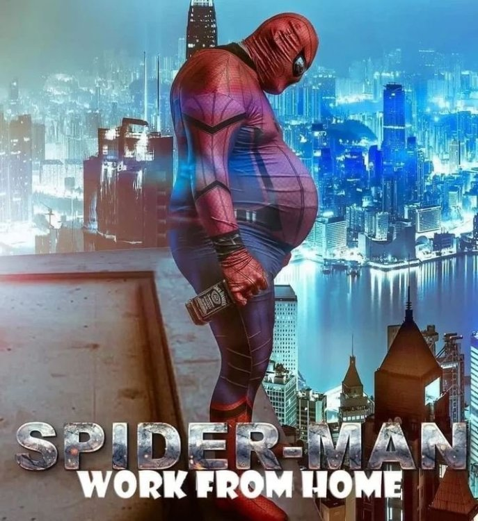1643144864921.png