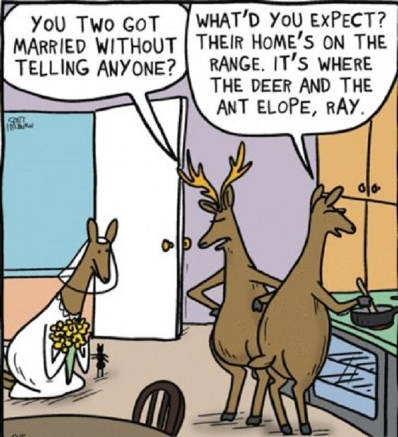 1644580798122.png