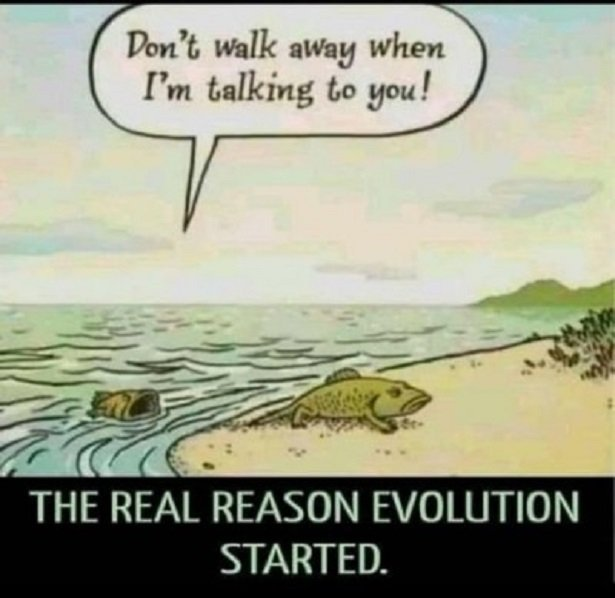 1645272109764.png