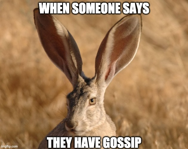 1645662347365.png