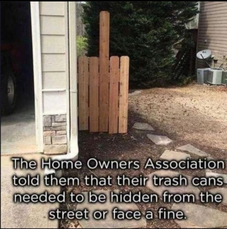 1651143596968.png