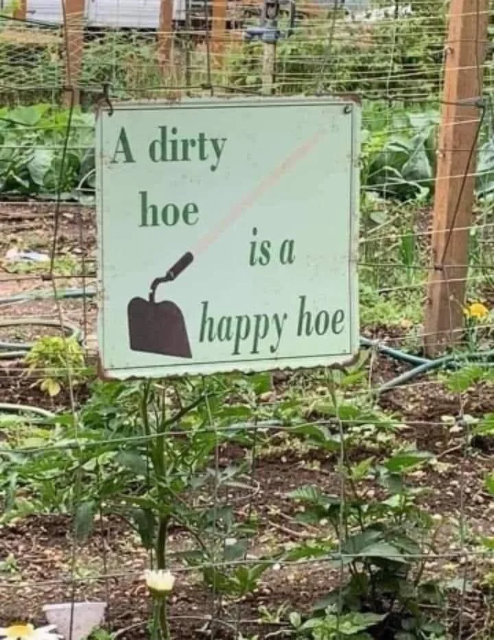 1655233057814.png