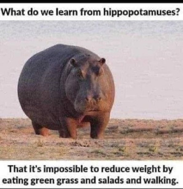 1655309882295.png