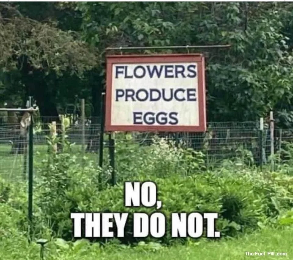 1658779847644.png
