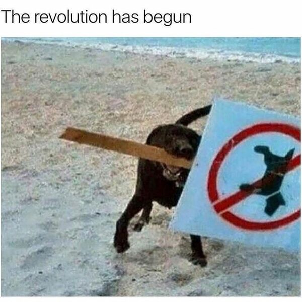 1666808241614.png