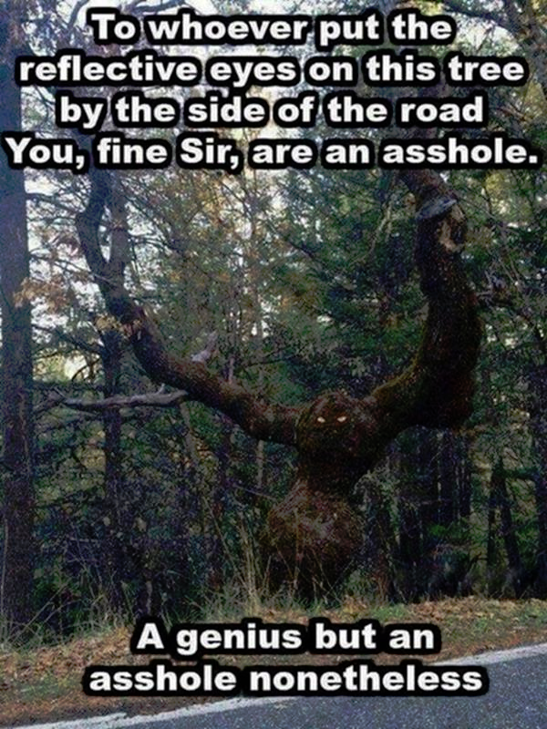1685373886264.png