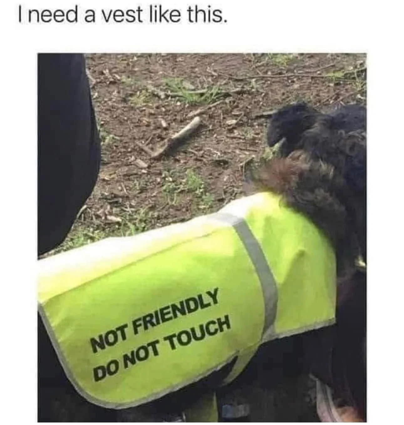 1686243146665.png