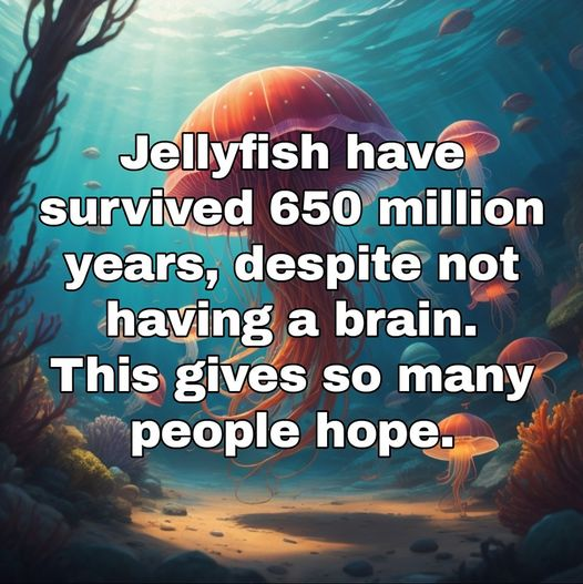 1691460474157.png