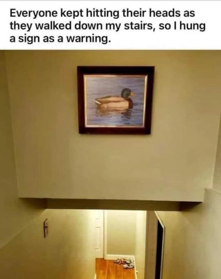 1714078135556.jpeg