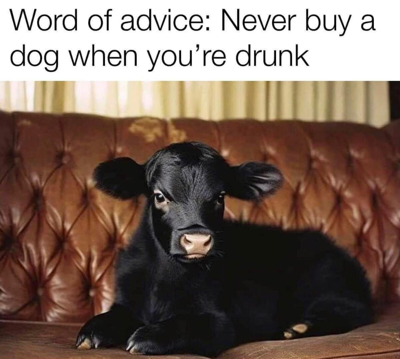 1716058039128.png