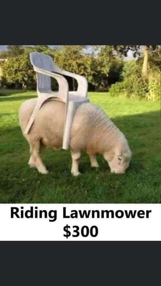 1719771486596.png