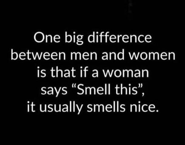 1745245038186.png