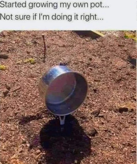 1748416117145.jpeg