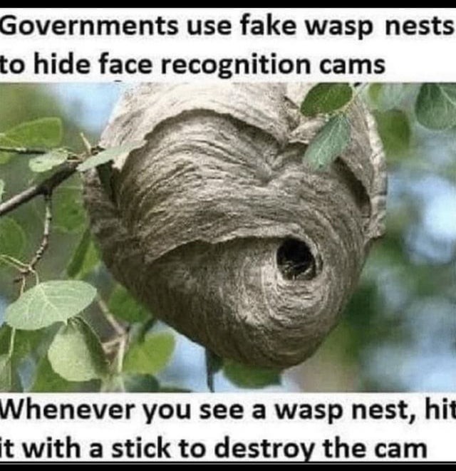 1749302178830.jpeg