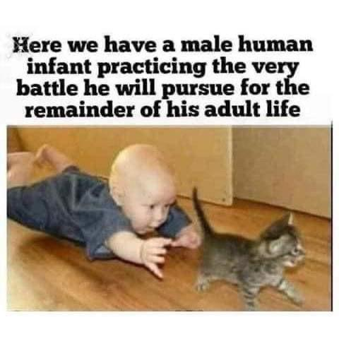 1755716104487.png