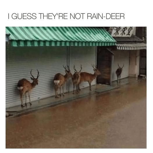 1757351910601.png