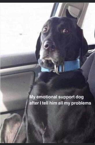 19A4B4D2-1388-47E7-B3D2-03A1248E2DAD.jpeg