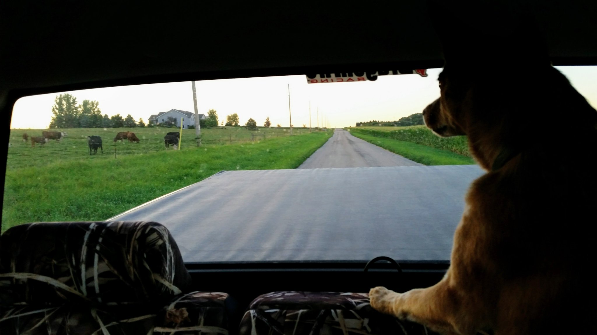 20150804_195851.jpg