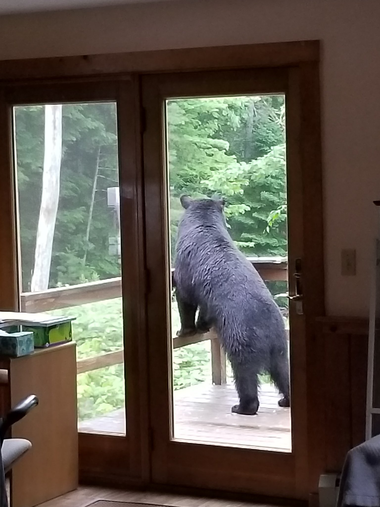 20180624_055404.jpg