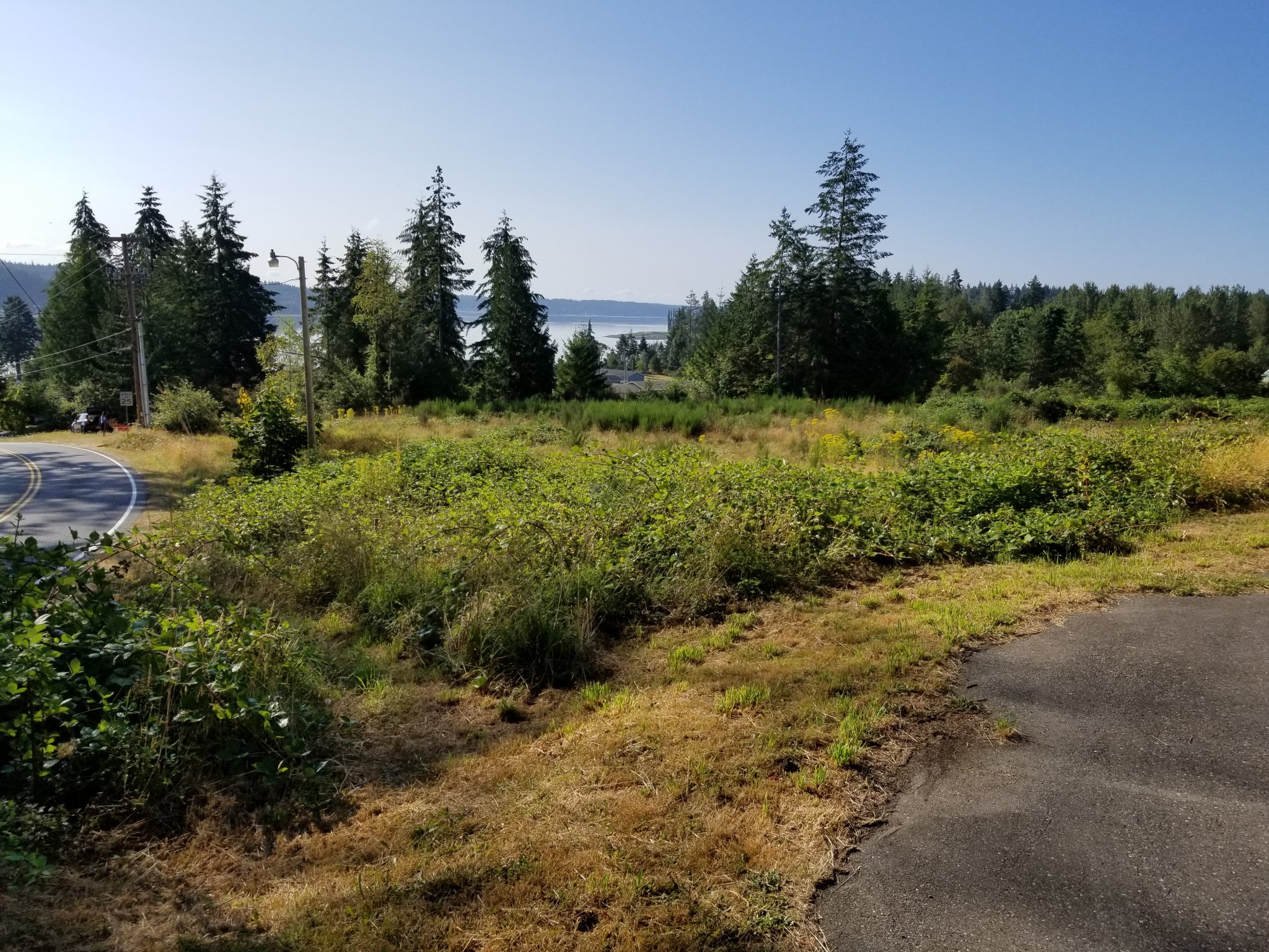 20200804_090538[1].jpg